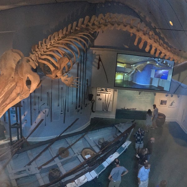 Снимок сделан в The Whaling Museum пользователем jake d. 8/1/2016