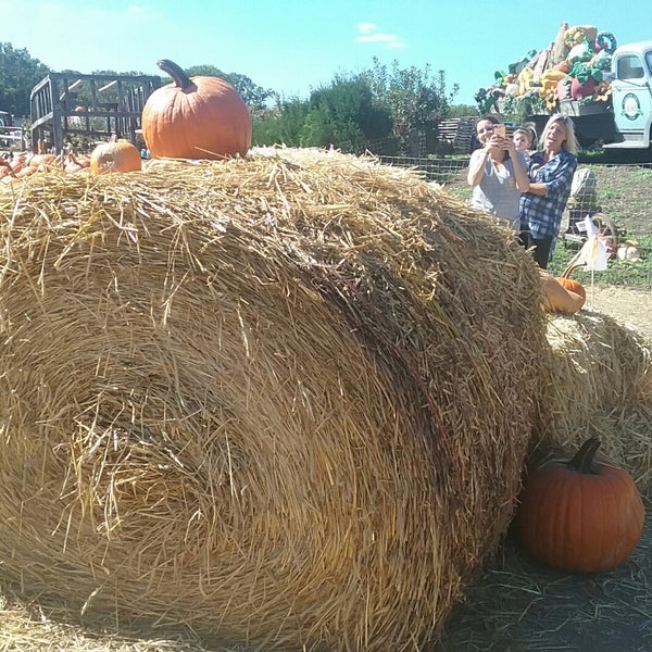 Photo taken at Linvilla Orchards by David W. on 10/3/2017
