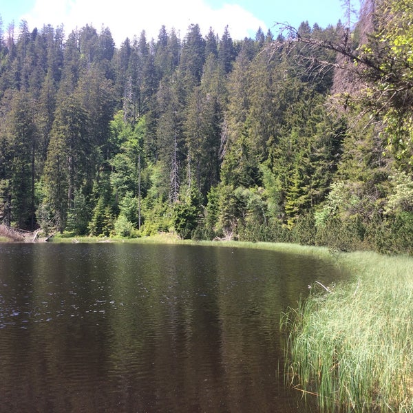 Wildsee озеро