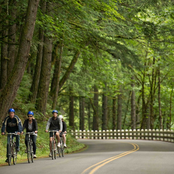 Pedal Bike Tours Bicycle Store