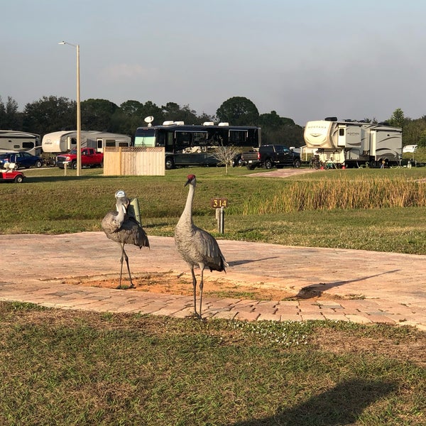 Camp Mack River Resort Campground