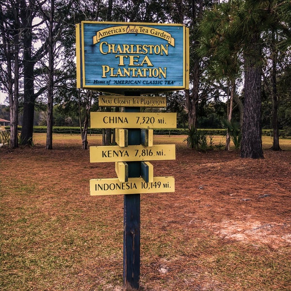 12/27/2019에 Alina V.님이 Charleston Tea Plantation에서 찍은 사진