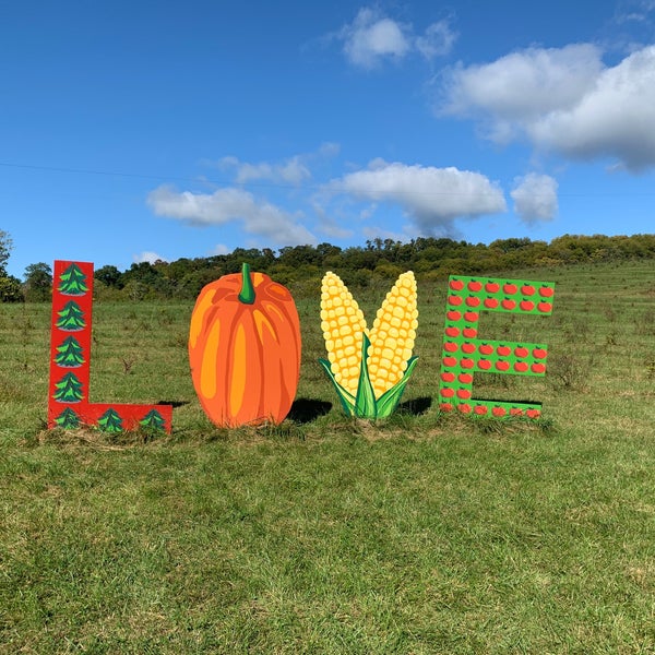 Hartland Farm 10 tips from 562 visitors