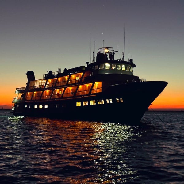 National Geographic Sea Lion - 1 visitor