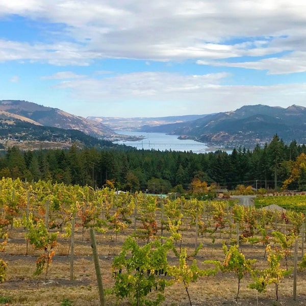 We loved the wine selections. It also has one of the best views of the gorge you’ll find at any winery!