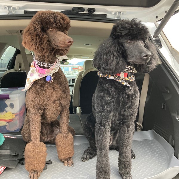 Alaska Sales & Service North Star Anchorage, AK