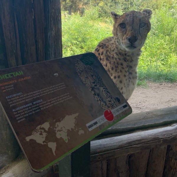 Das Foto wurde bei Zoo Parc Overloon von Sil W. am 6/23/2019 aufgenommen