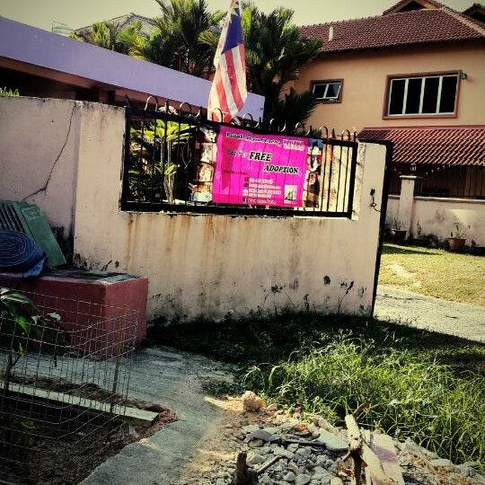 Hotel Kucing Ampang Bela nasib kucing jalanan sepanjang PKP - pusat jagaan kucing ampang