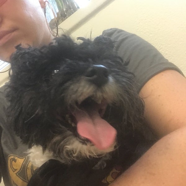 7/6/2018 tarihinde Leyla L.ziyaretçi tarafından The Animal Medical Center'de çekilen fotoğraf