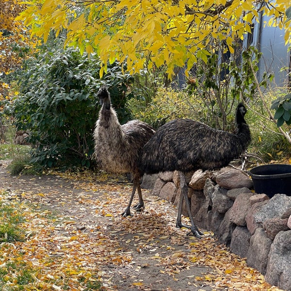 รูปภาพถ่ายที่ Cheyenne Mountain Zoo โดย George K. เมื่อ 10/10/2021