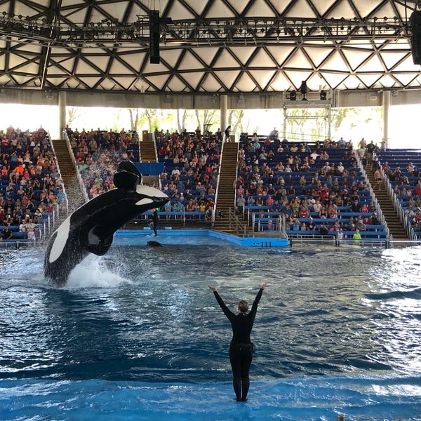 Foto scattata a SeaWorld San Antonio da George K. il 8/6/2019