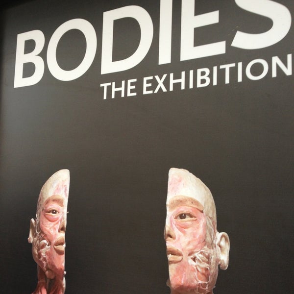 BODIES: THE EXHIBITION - Atlanta - Atlantic Station - Atlanta, GA
