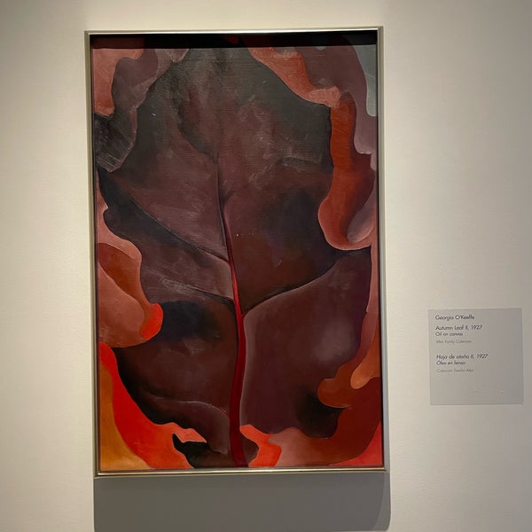 Photo taken at Georgia O&#39;Keeffe Museum by Cat C. on 12/17/2021