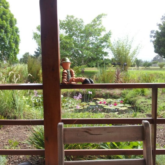 Photos At The Red Barn Knysna Western Cape