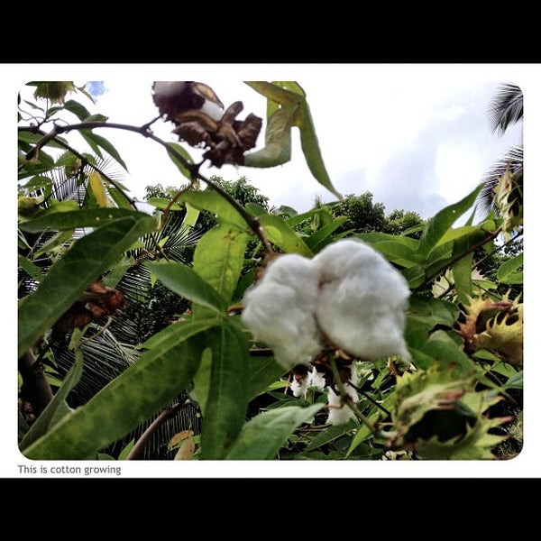 Photo taken at Honua Lani Gardens Kauai by Jai R. on 9/28/2012