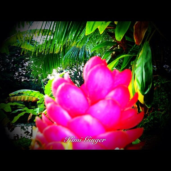 Photo taken at Honua Lani Gardens Kauai by Jai R. on 11/8/2012