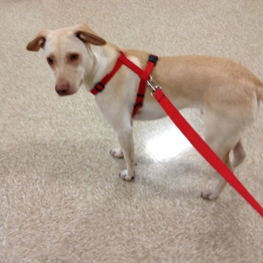 PetSmart Pet Supplies Store in Cypress