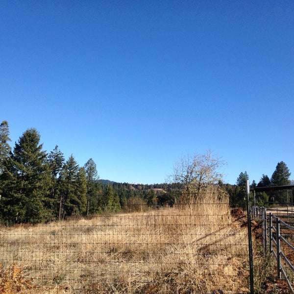 Roberts Christmas Tree Farm Camino, CA