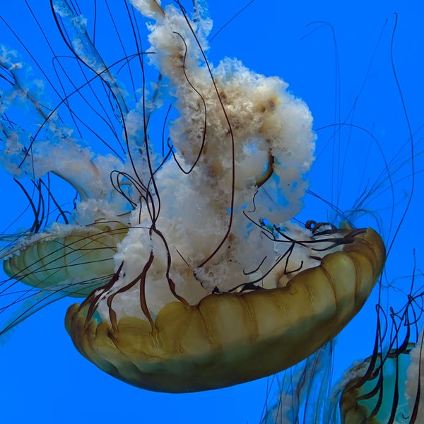 Photo prise au National Aquarium par Sabrina le1/15/2022