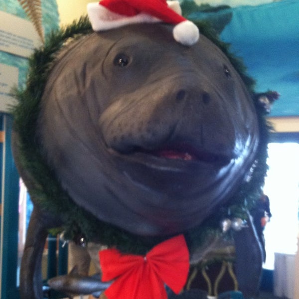 Photo taken at Manatee Observation &amp; Education Center by Colleen G. on 12/29/2012