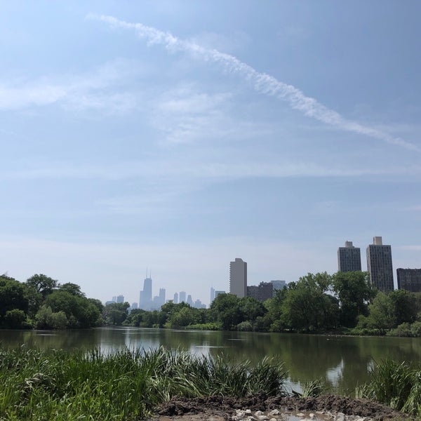 Photo taken at North Pond by Nick S. on 6/29/2019