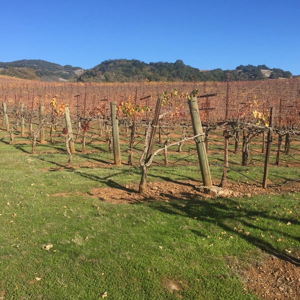 Photo taken at Kenwood Vineyards by Dave A. on 11/27/2015