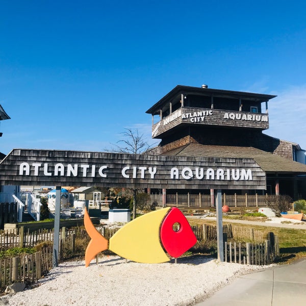 Atlantic City Aquarium Aquarium in Uptown Atlantic City