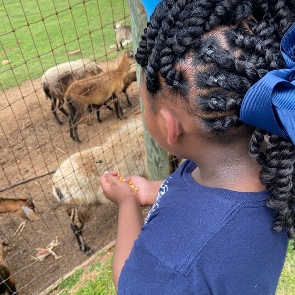 Photos at Old Baker Farm Harpersville, AL