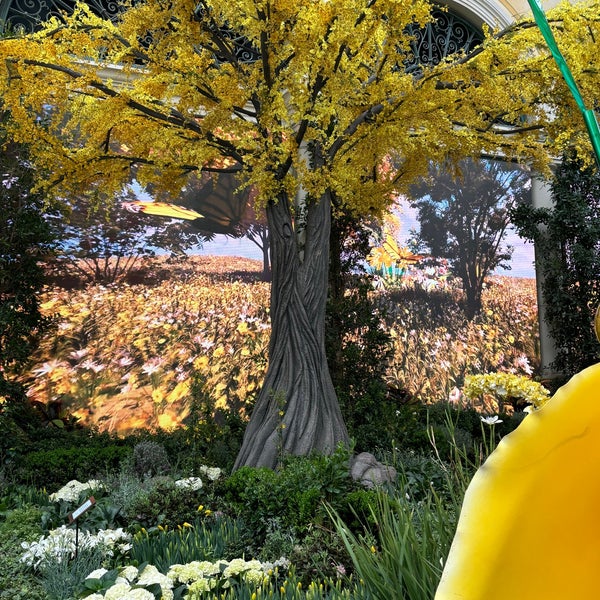 3/14/2024 tarihinde Tara D.ziyaretçi tarafından Bellagio Conservatory &amp; Botanical Gardens'de çekilen fotoğraf