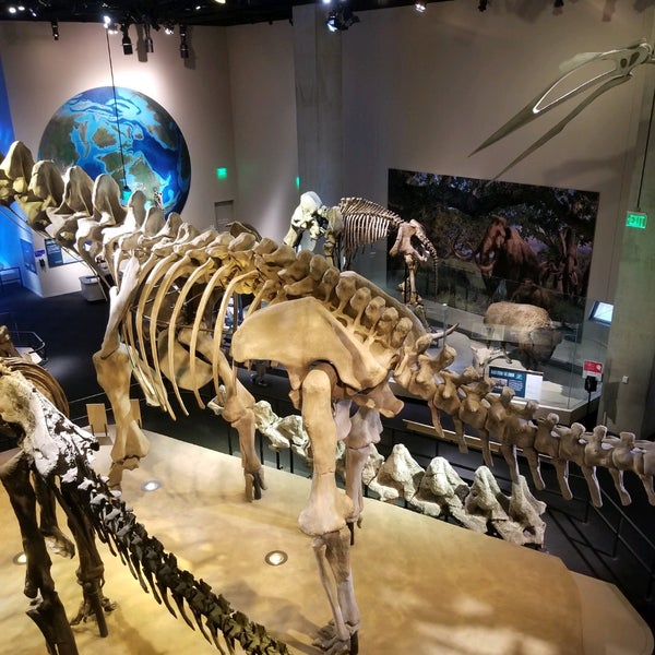 Photo taken at Perot Museum of Nature and Science by Drew B. on 9/3/2021