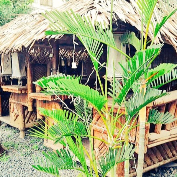 Betty s place biak na bato quezon Betty s place biak na bato quezon vivo cryptocurrency