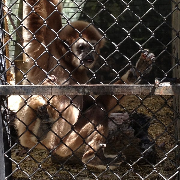 Photo taken at Seneca Park Zoo by Claudia B. on 5/12/2013