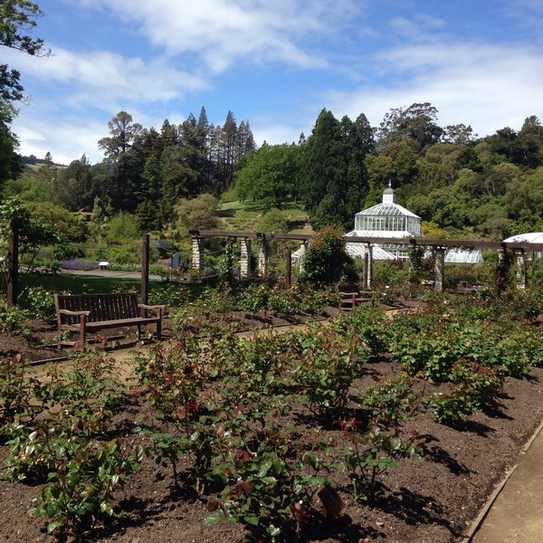 11/11/2015에 Syamimi S.님이 Dunedin Botanic Garden에서 찍은 사진