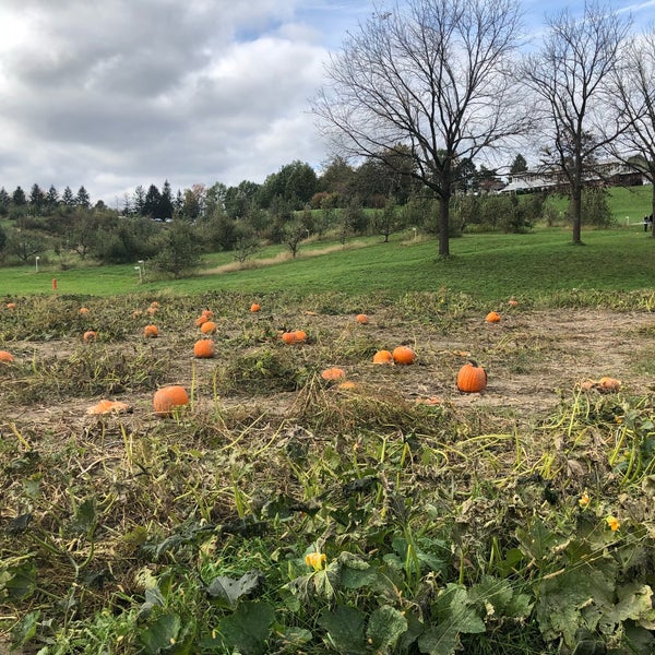 Photo taken at Wilson&#39;s Apple Orchard by Austin W. on 10/14/2018