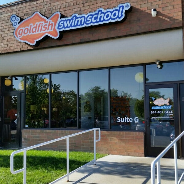 Goldfish Swim School Dublin Dublin Oh