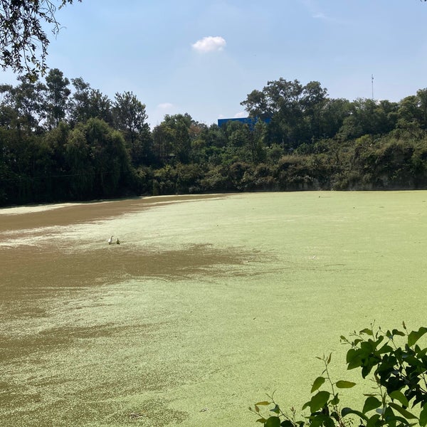 Parque Ecologico Huayamilpas - Park