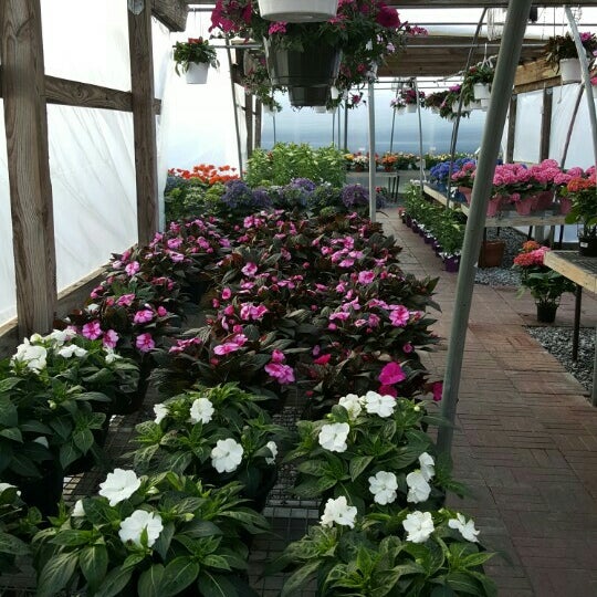 Richardson S Floral Center Flower Shop In Wilmington