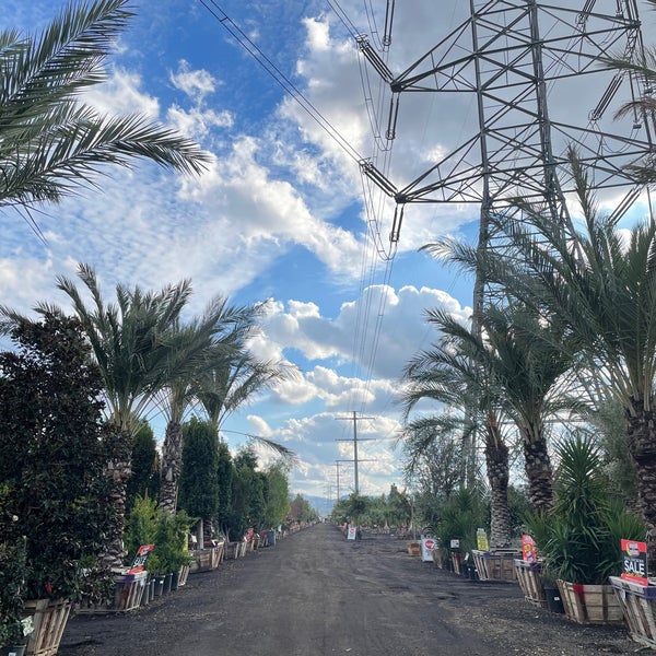 Moon Valley Nurseries Chino, CA