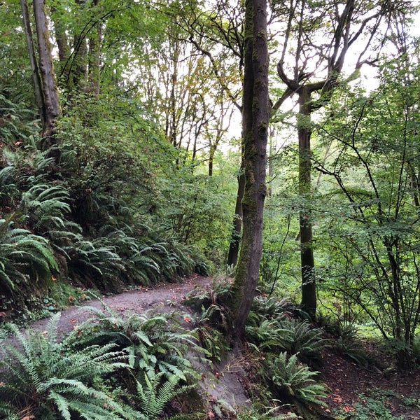 Photos at Interlaken Park Park in Seattle