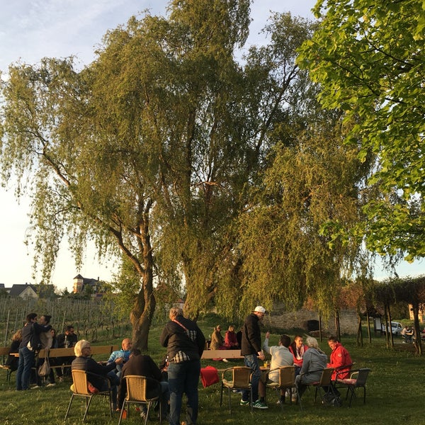 Photos At Haus Der Deutschen Weinstrasse Bockenheim An Der