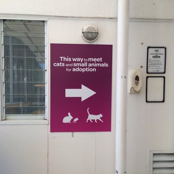 mangere spca