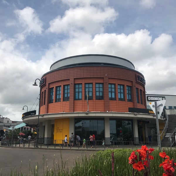 кишинев молдова ботаника. ботанический сад екатеринбург. ботанический сад. парк ботанический сад екатеринбург. фондовая оранжерея ботанический сад им н в цицина ран москва.