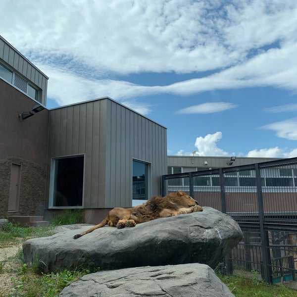 カバ ライオン館 中央区宮ケ丘3 1
