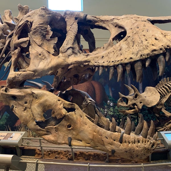 Das Foto wurde bei Carnegie Museum of Natural History von Ellijay Jones am 5/16/2019 aufgenommen