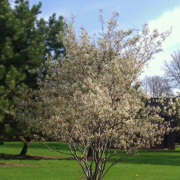 Photo taken at Northeast Wisconsin Technical College by Casey F. on 5/14/2013