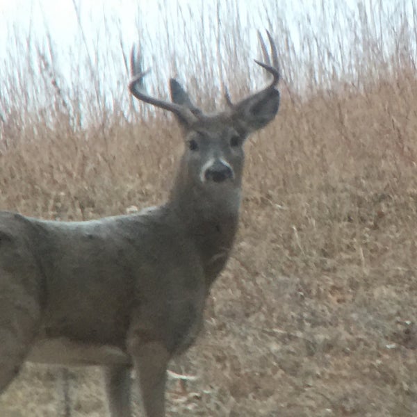 Photos at Sand Creek Country Club Beulah, WY