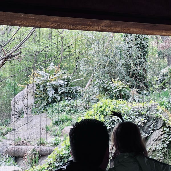 Foto diambil di Central Park Zoo oleh Lizzy P. pada 4/21/2024