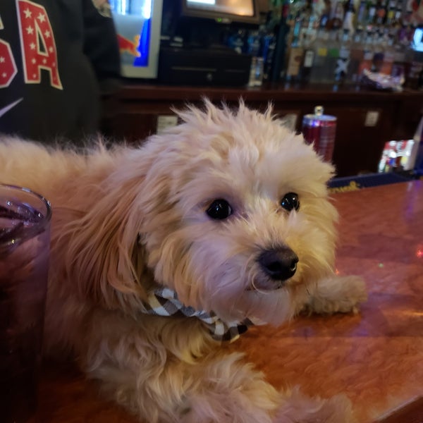 Photo taken at O&#39;Callaghan&#39;s Pub by Steven M. on 12/14/2018