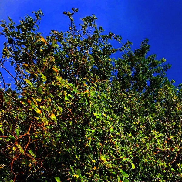 Rodmans Hollow Block Island, RI