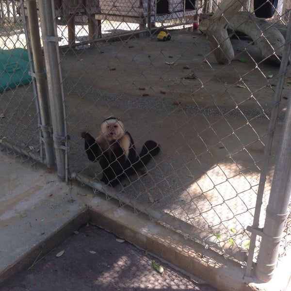 Das Foto wurde bei Alabama Gulf Coast Zoo von Doug MacIver @ Ride Time W. am 4/22/2014 aufgenommen
